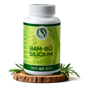 Bam-Bü Silicium
